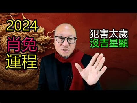 兔 運勢|2024生肖兔整年運勢一次看！多注意健康、主動做一。